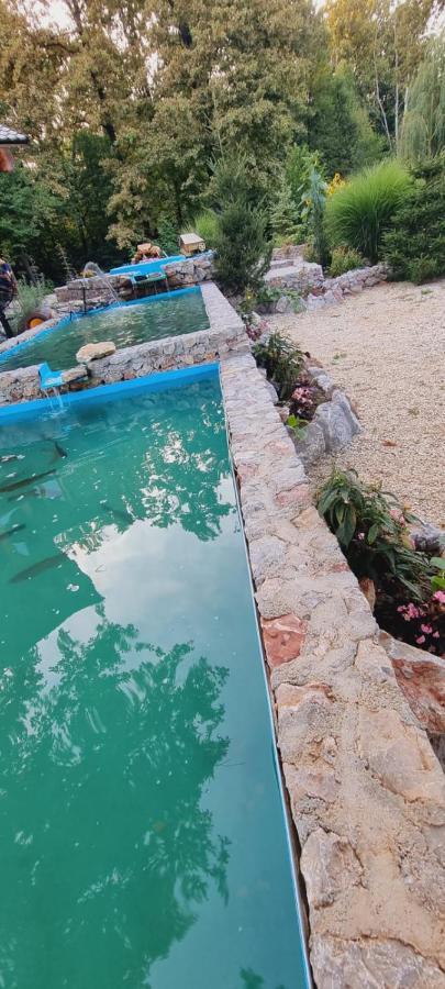 Guest House Mala Prica Zivinice 외부 사진